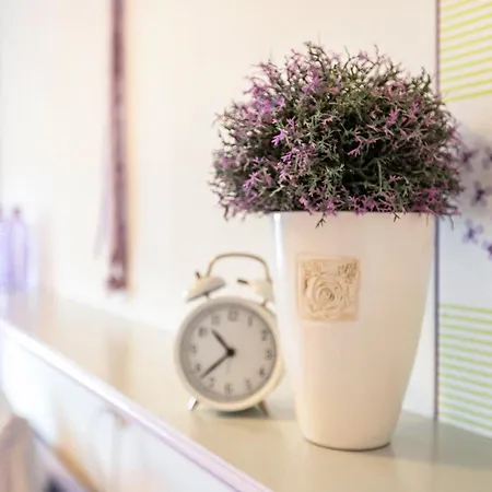 度假居 Hundeurlaub Bei Karin *